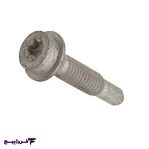 پیچ اکسل پژو