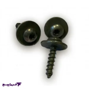 پیچ‌ شلگیر پژو