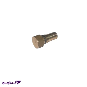 پیچ کورکن سرسیلندر پژو ۴۰۵ برنجی