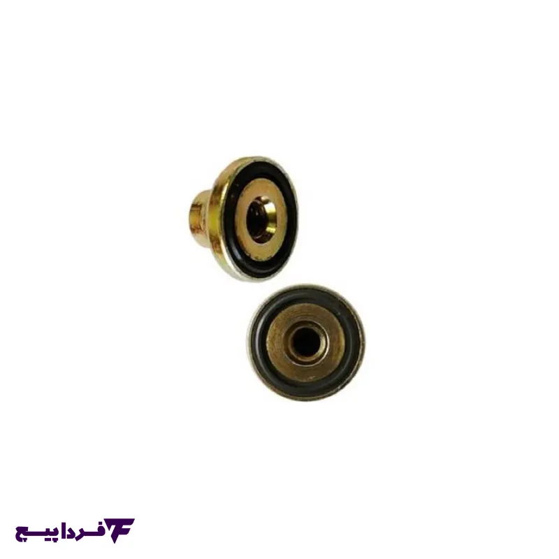 output_3436_1746261512 مهره درب سوپاپ پژو 405 ساخت ایران