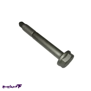 پیچ ژامبون پژو