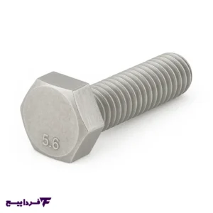 پیچ آهنی 30×6