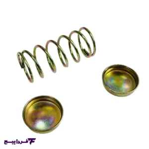 فنر پلوس 405 با پولک