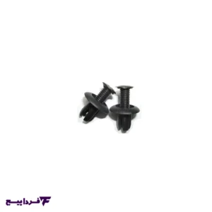 خار شلگیر پراید